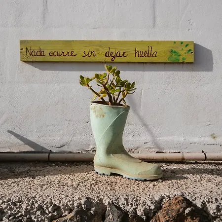 דירה A-nueva! Magec Vip Jacuzzi Privado Buzanada