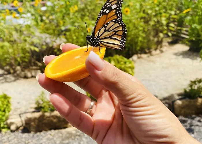 A-nueva! Magec Vip Jacuzzi Privado *