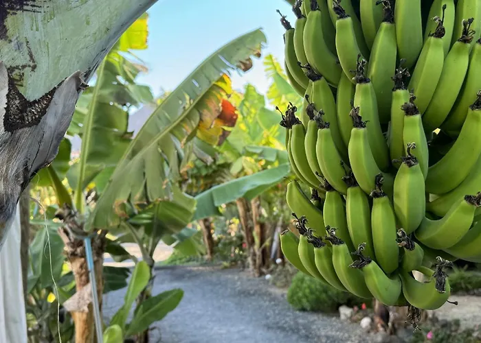 A-nueva! Magec Vip Jacuzzi Privado