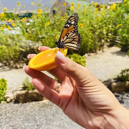 A-nueva! Magec Vip Jacuzzi Privado *