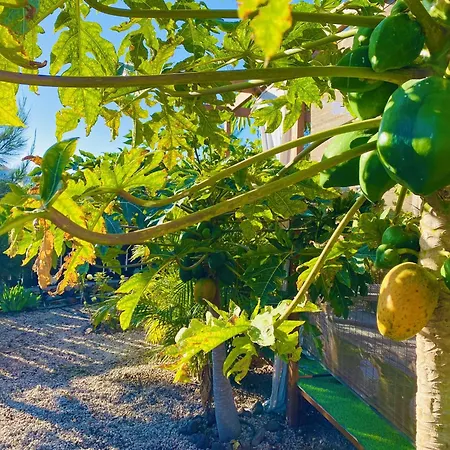 A-nueva! Magec Vip Jacuzzi Privado * Buzanada