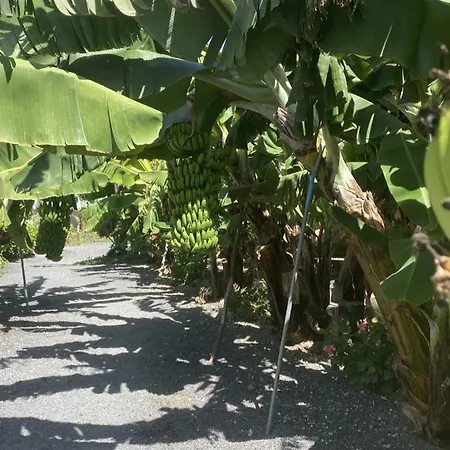 A-nueva! Magec Vip Jacuzzi Privado Apartamento Buzanada