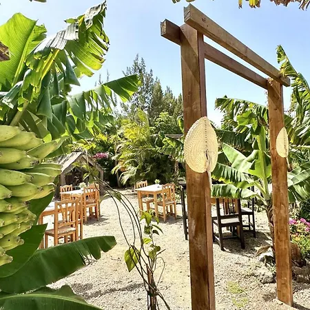 A-nueva! Magec Vip Jacuzzi Privado * Buzanada