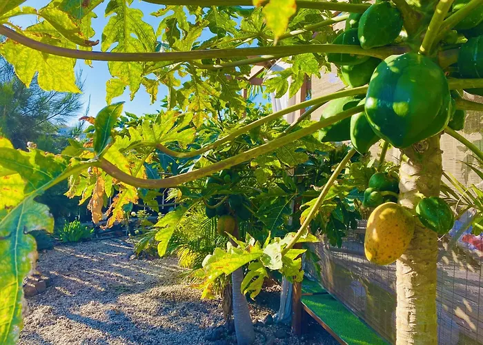 A-nueva! Magec Vip Jacuzzi Privado * Buzanada