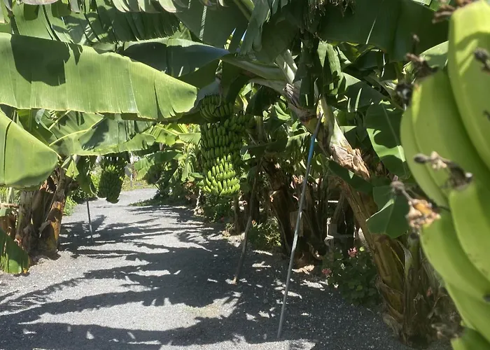 A-nueva! Magec Vip Jacuzzi Privado Apartment Buzanada